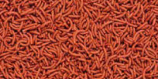 Hikari Vibra Bites 35 Gramm