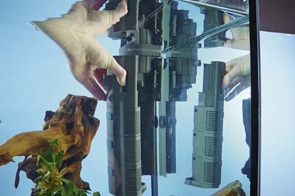 Oase BioPlus Thermo 50