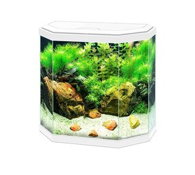 Ciano Aqua 30 LED Ciano Aqua 30 LED