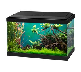 Ciano Aqua 20 Classic Ciano Aqua 20 Classic