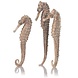 biOrb Seepferdchen Naturel - Set mit 3 biOrb Seepferdchen Naturel - Set mit 3