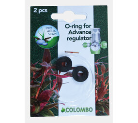 Colombo O-Ring für Druckminderer