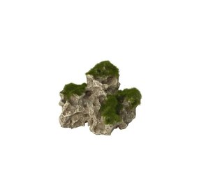 Aqua D'ella Felsen mit Moos Klein