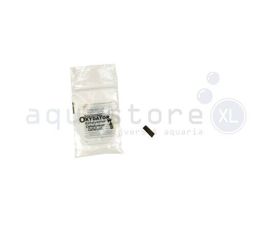 Söchting Katalysator Groß