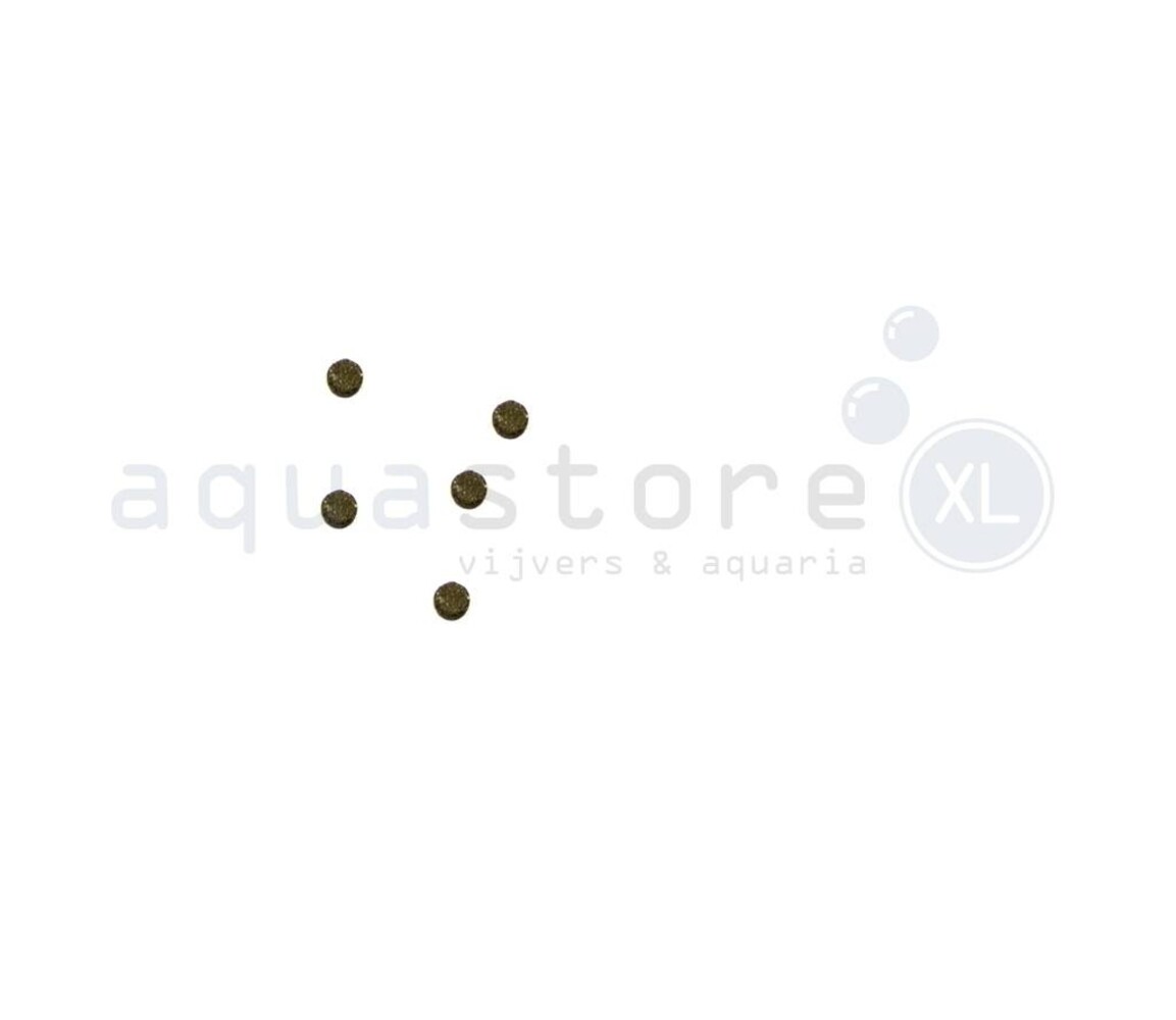 Söchting Katalysator Mini