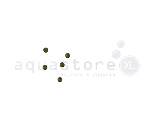 Söchting Katalysator Mini