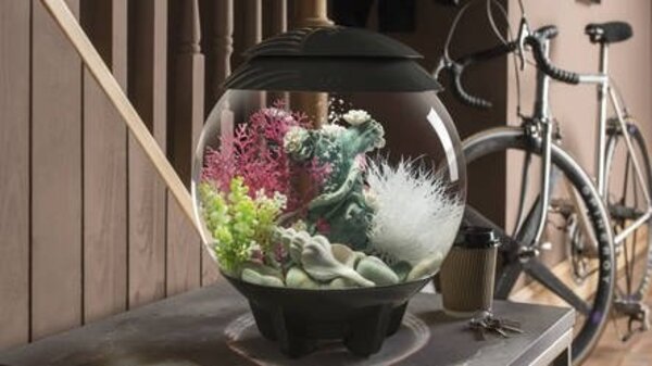 biOrb Halo 30 MCR Weiß biOrb Halo 30 MCR Weiß