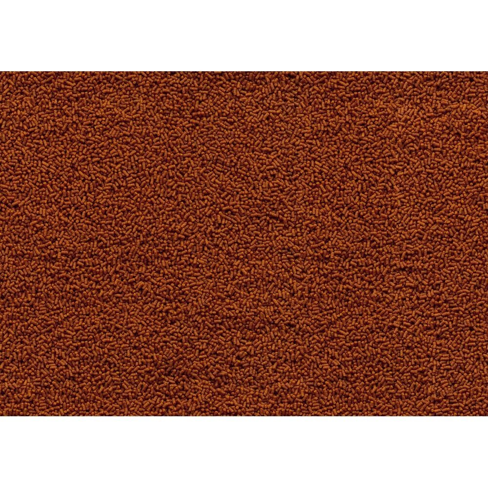 Tetra Goldfish Gold Japan