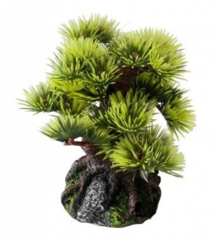 Aqua D'ella Bonsai Baum - Mini Aqua D'ella Bonsai Baum - Mini