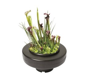 AquastoreXL Schwimmender Pflanzenkorb - 22cm rund