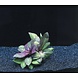 Wasserpflanze Lobelia Cardinalis Wasserpflanze Lobelia Cardinalis