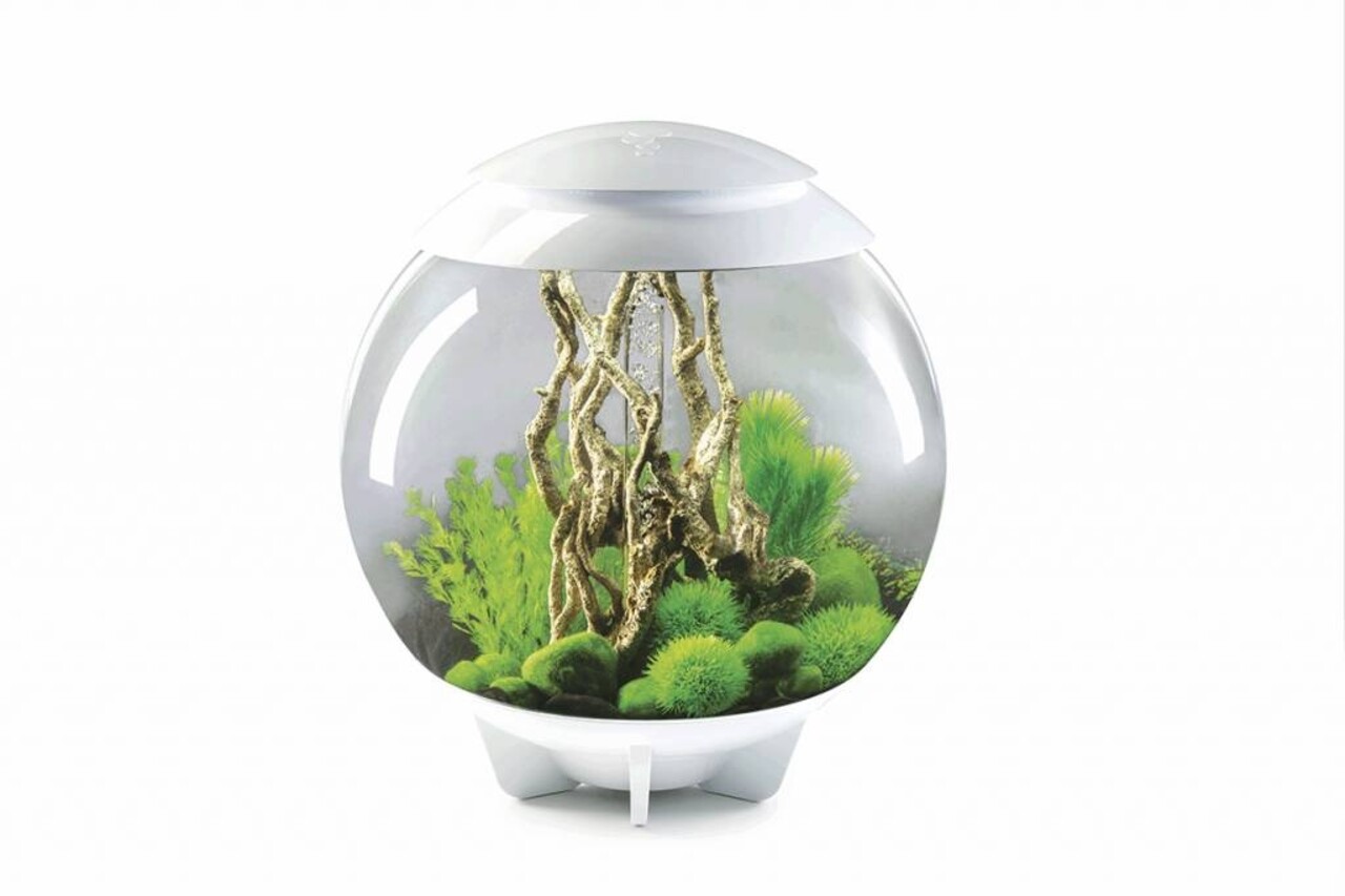 biOrb Halo 60 MCR Weiß biOrb Halo 60 MCR Weiß