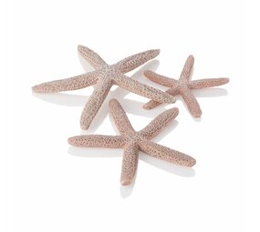 biOrb Star Fish naturel