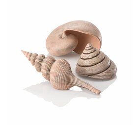 biOrb Meeresmuscheln, naturbelassen biOrb Meeresmuscheln, naturbelassen