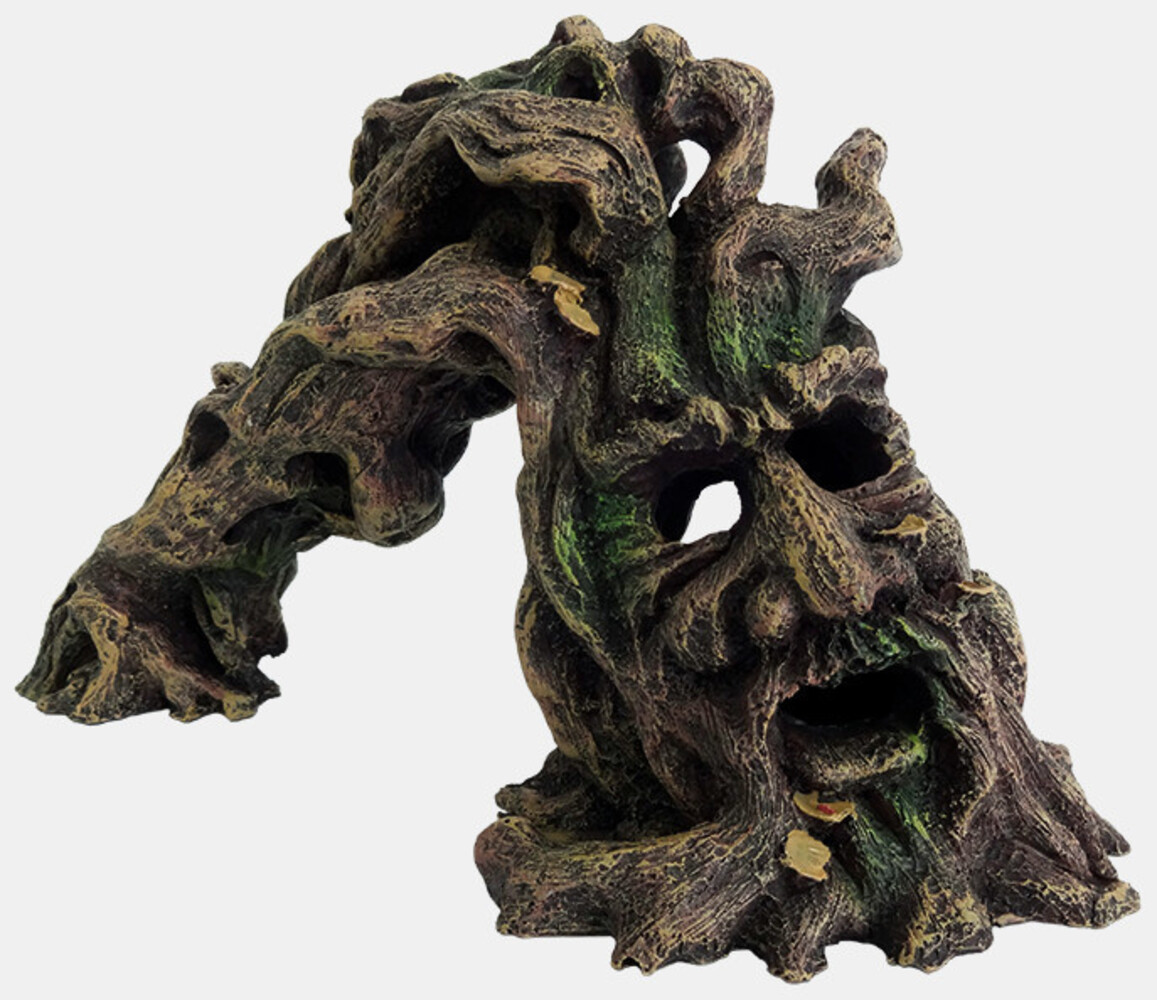 Superfish Baummonster Medium