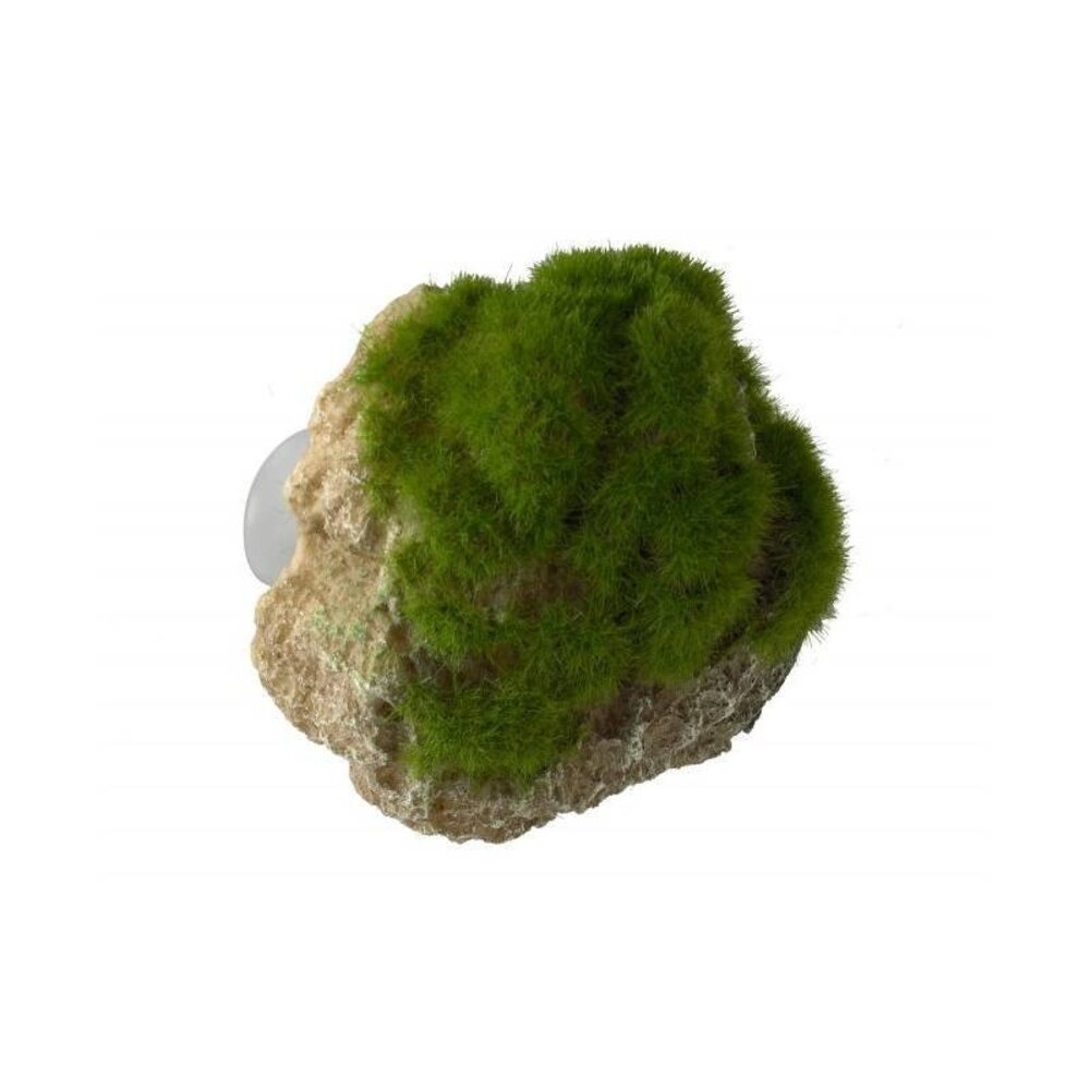 Aqua D'ella Moosstein mit Saugnäpfen