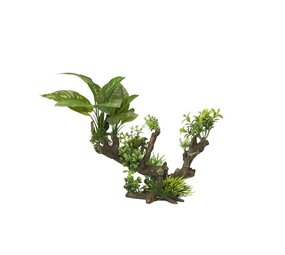 Aqua D'ella Flora-scape 5 XL