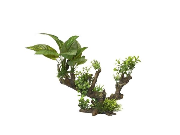 Aqua D'ella Flora-scape 5 XL Aqua D'ella Flora-scape 5 XL