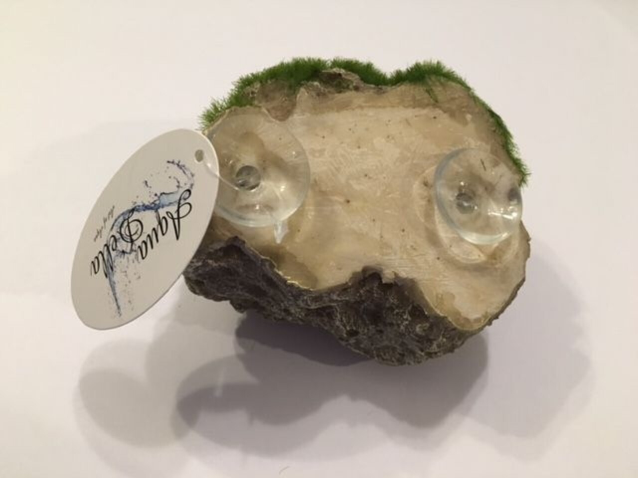 Aqua D'ella Moosstein mit Saugnäpfen