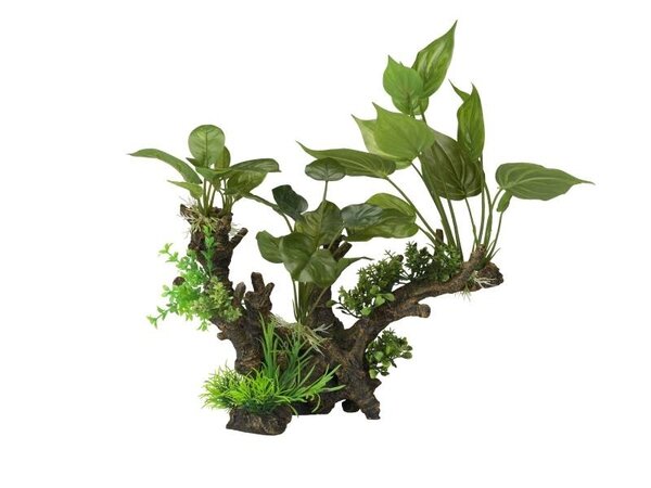 Aqua D'ella Flora-scape 3 XL Aqua D'ella Flora-scape 3 XL