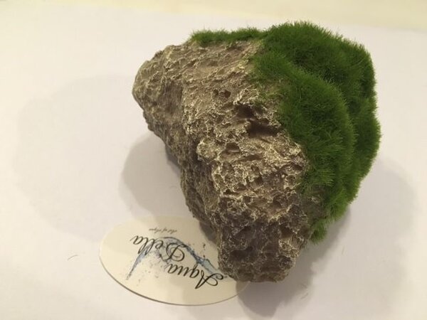 Aqua D'ella Moosstein mit Saugnäpfen