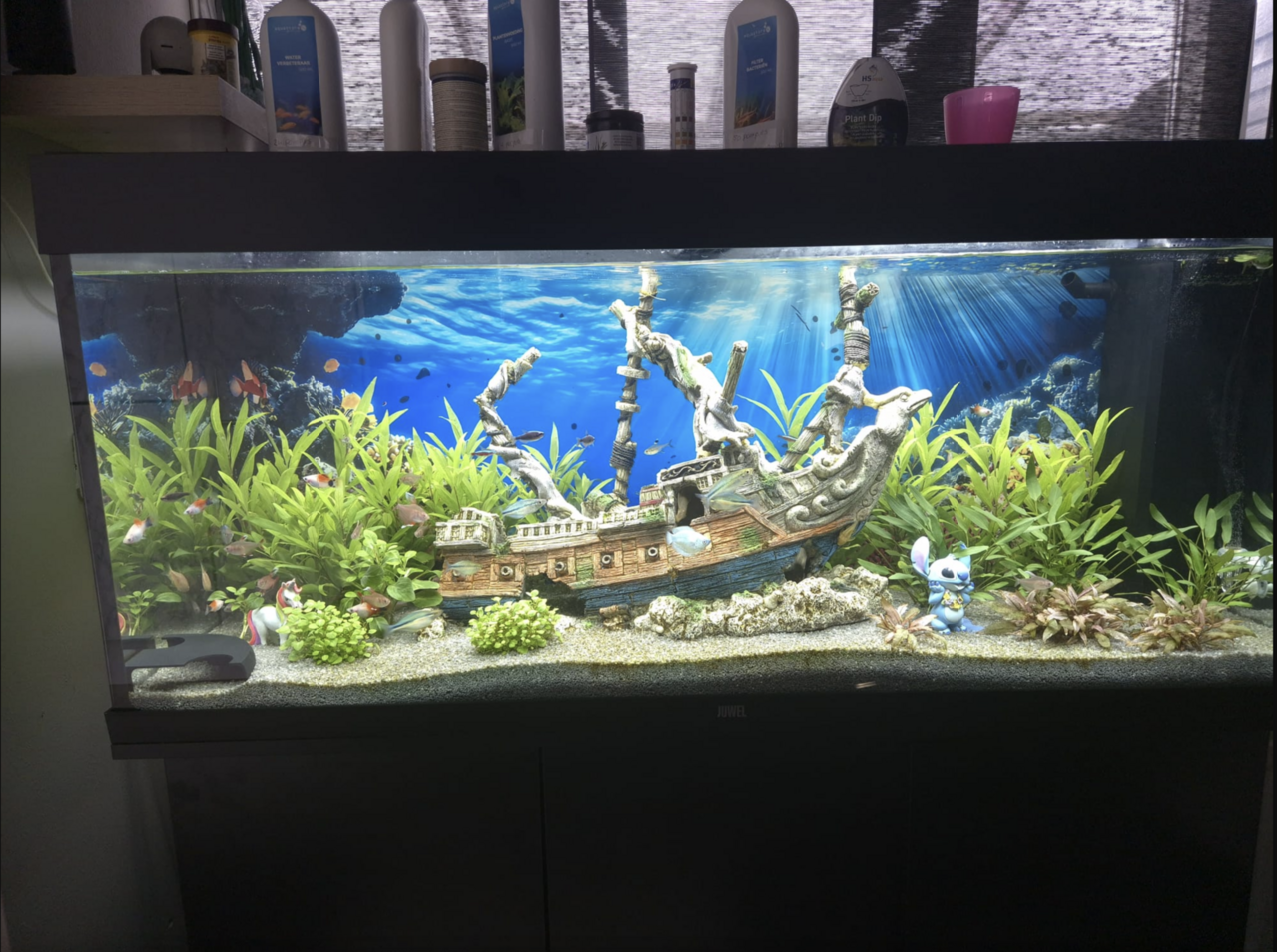 Aqua D'ella Gesunkenes Schiff XXXL