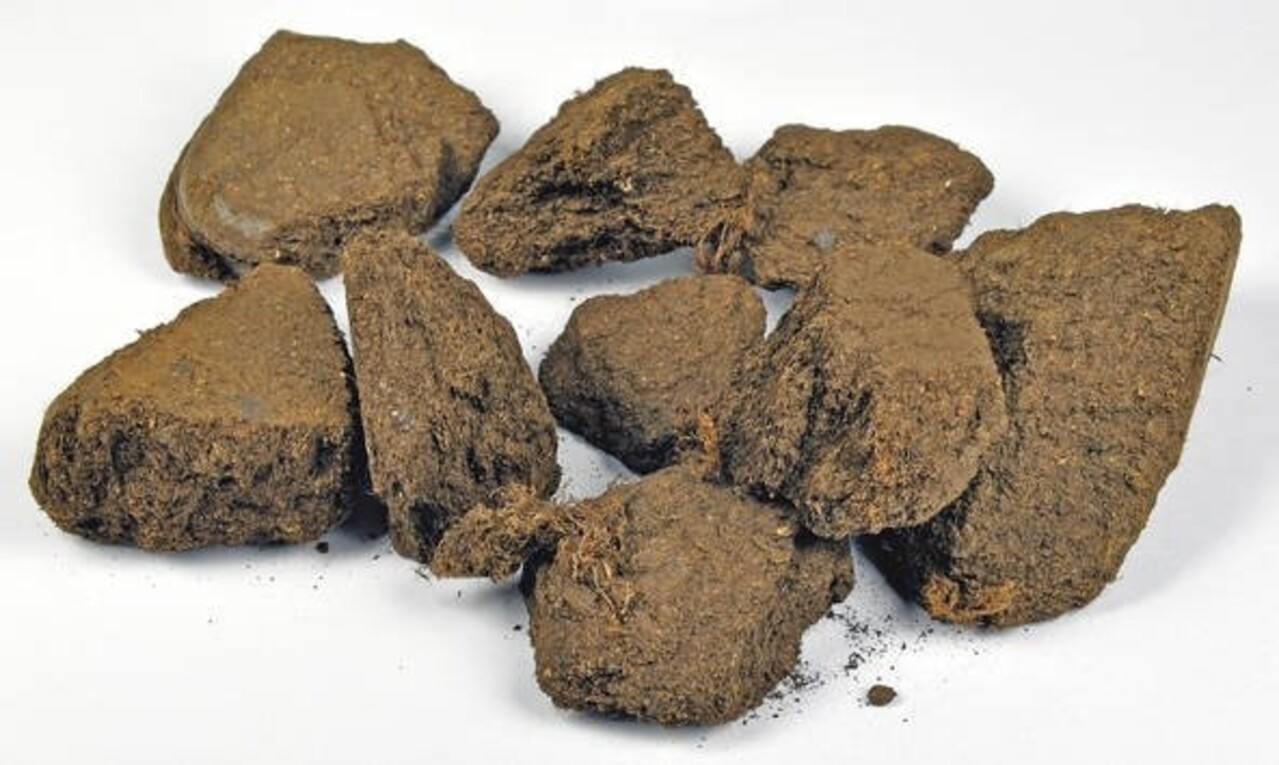 Oase AquaActiv AquaHumin Oase AquaActiv AquaHumin