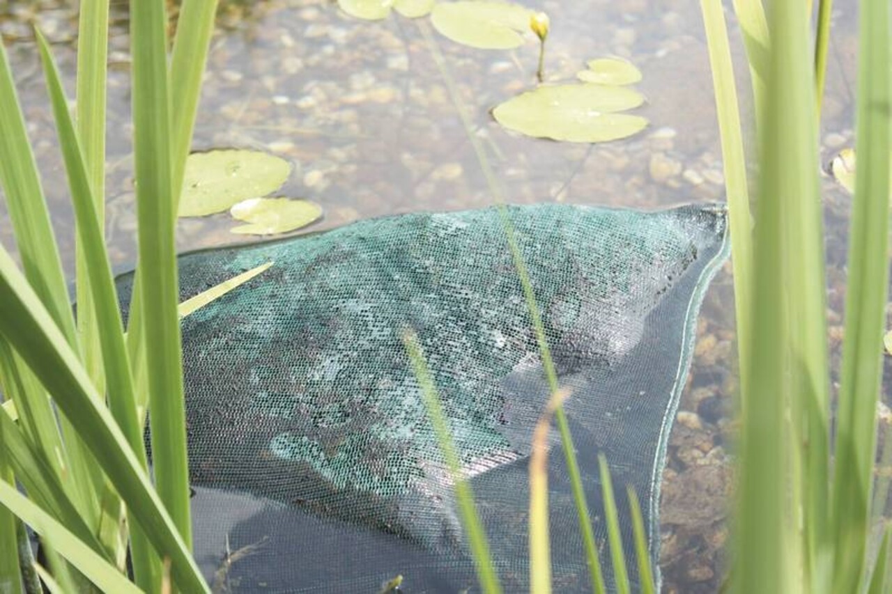 Oase AquaActiv AquaHumin Oase AquaActiv AquaHumin