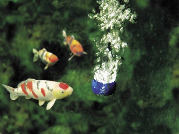 Oase AquaOxy 1000 Oase AquaOxy 1000