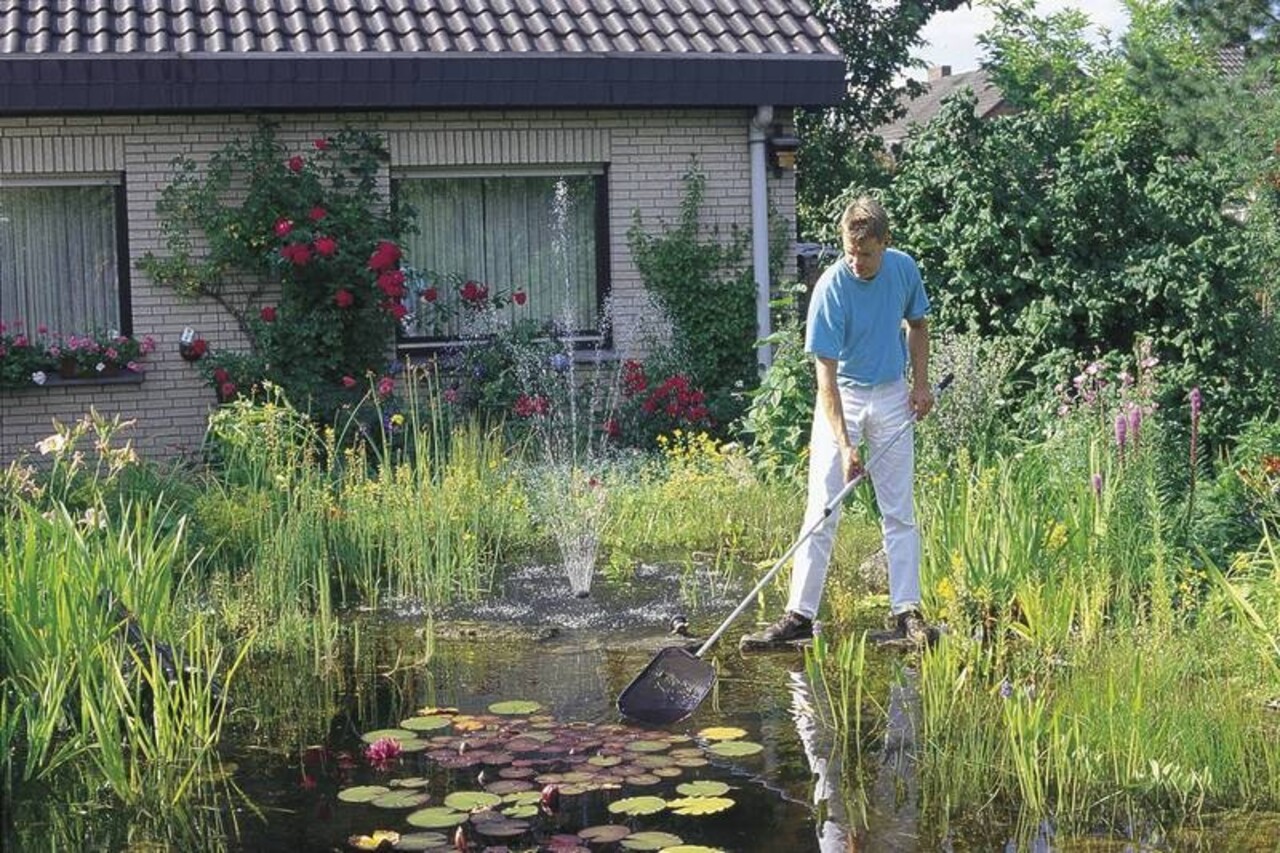 Oase Algensieb klein