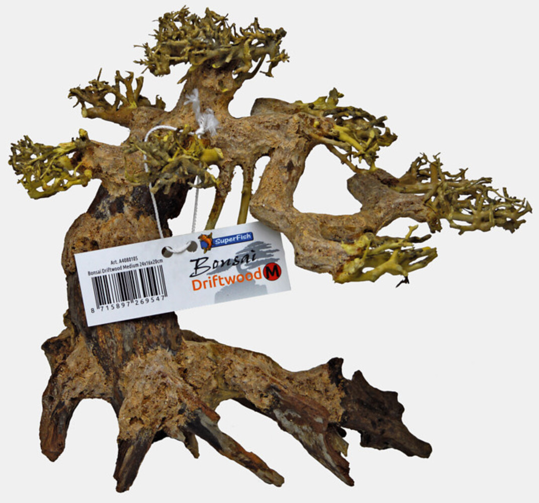 Superfish Bonsai Treibholz M Superfish Bonsai Treibholz M