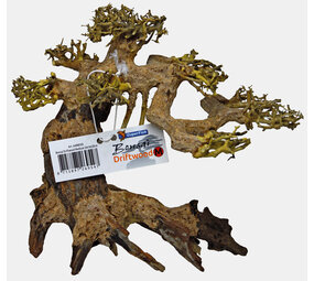 Superfish Bonsai Treibholz M Superfish Bonsai Treibholz M