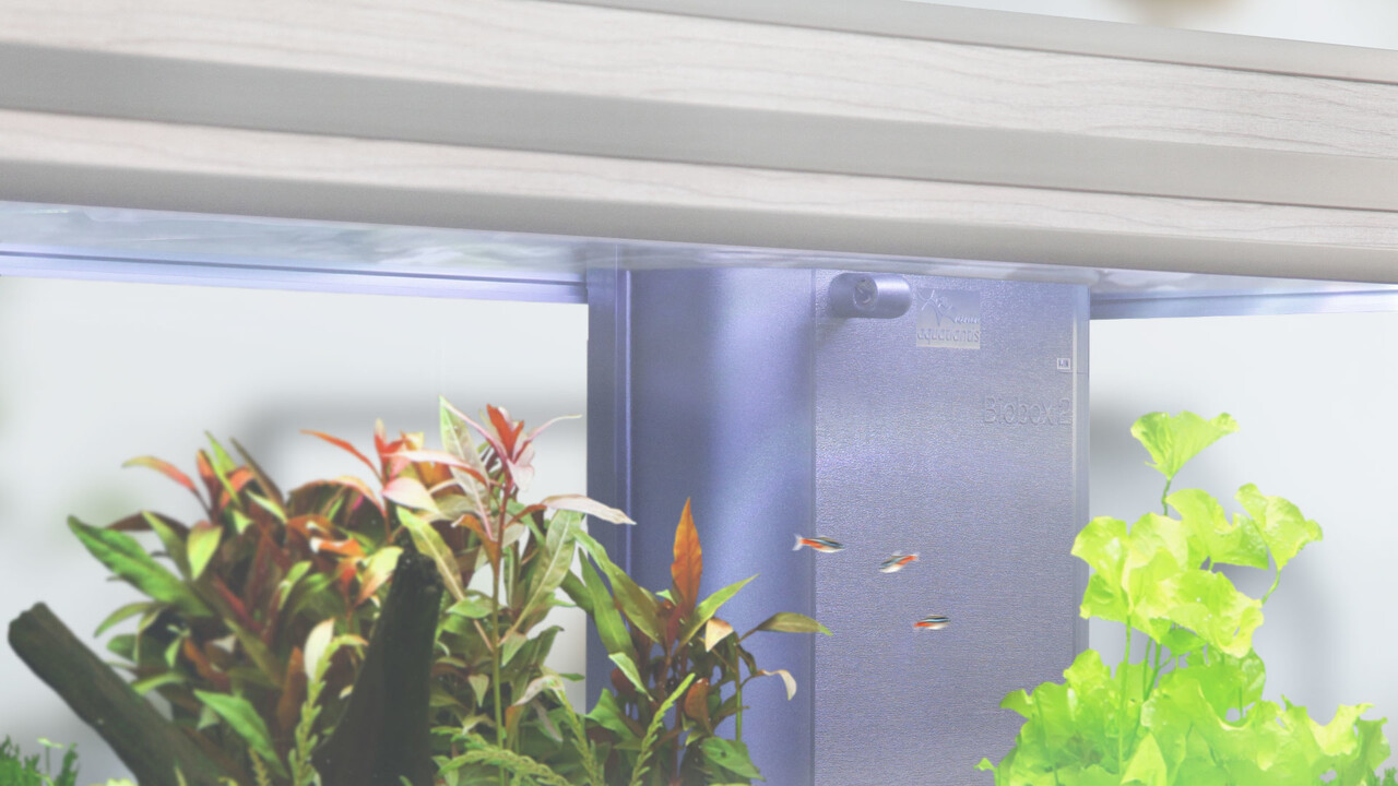 Aquatlantis Innenfilter System BioBox Nr. 2 Aquatlantis Innenfilter System BioBox Nr. 2