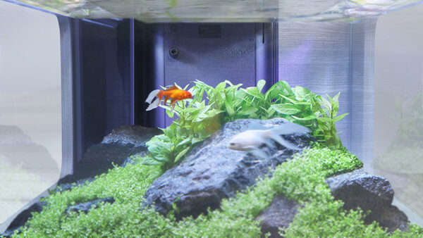 Aquatlantis Innenfilter System BioBox Nr. 2 Aquatlantis Innenfilter System BioBox Nr. 2