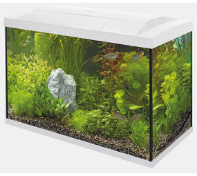 Superfish Start 70 Tropical Kit Weiß