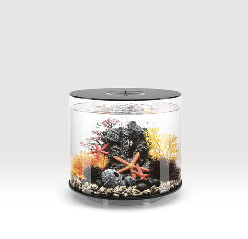 biOrb Tube 35 MCR Schwarz biOrb Tube 35 MCR Schwarz