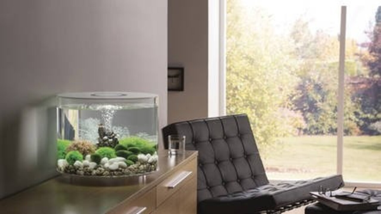 biOrb Tube 35 MCR Schwarz biOrb Tube 35 MCR Schwarz