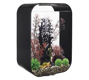 biOrb Life 60 MCR Schwarz biOrb Life 60 MCR Schwarz