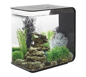 biOrb Flow 30 MCR Schwarz