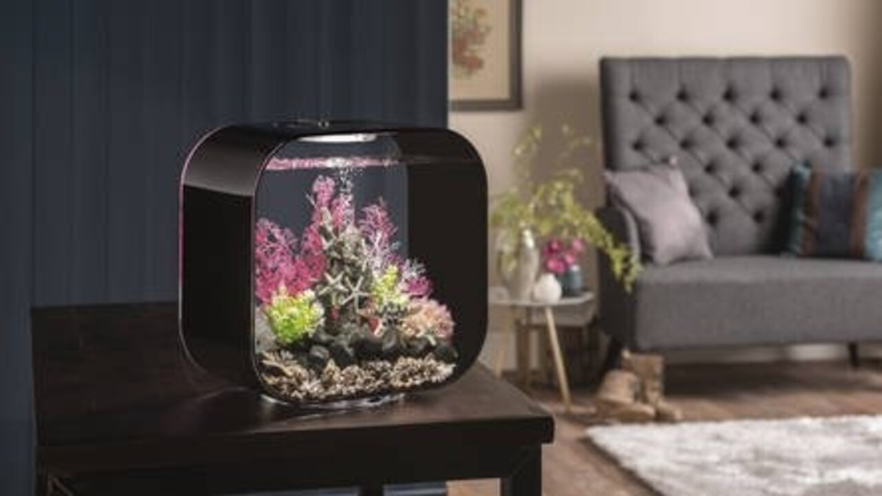 biOrb Life 30 MCR Schwarz biOrb Life 30 MCR Schwarz