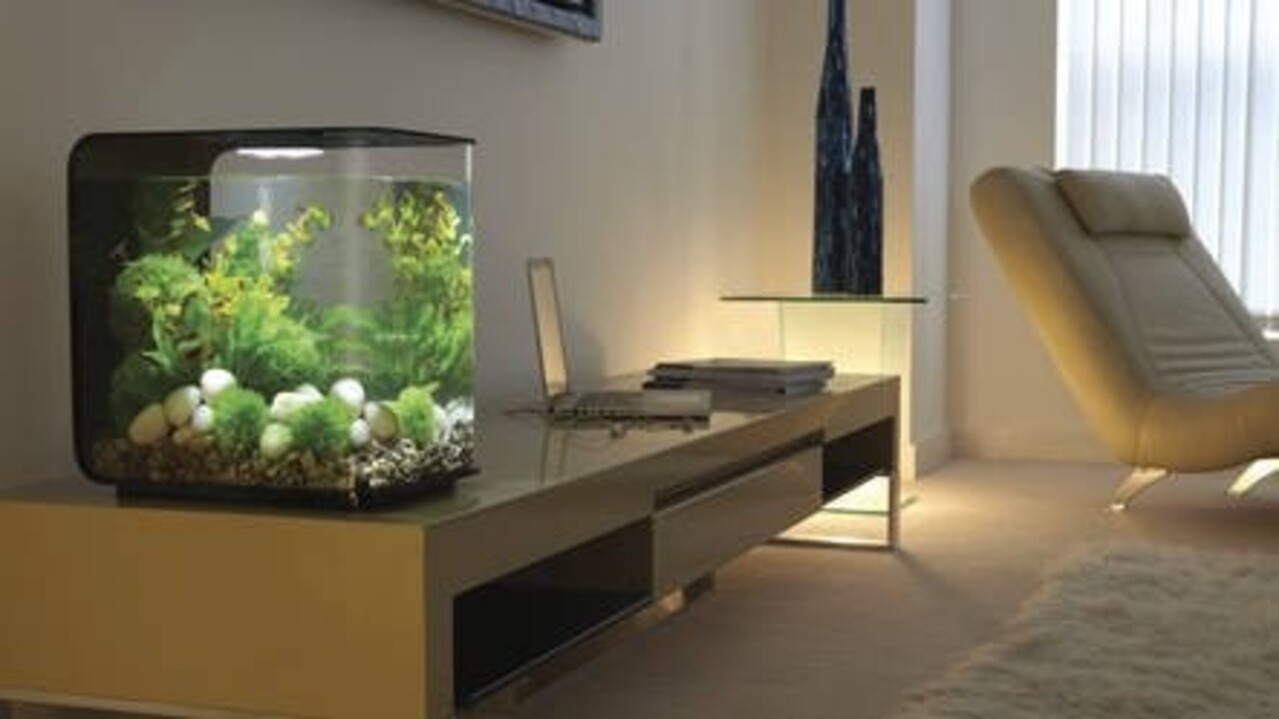 biOrb Flow 30 MCR Schwarz biOrb Flow 30 MCR Schwarz