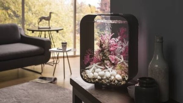 biOrb Life 15 MCR Schwarz