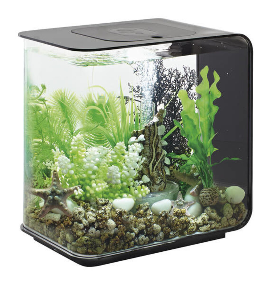 biOrb Flow 15 MCR Schwarz