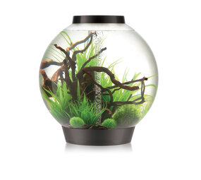 biOrb Classic 105 MCR Schwarz