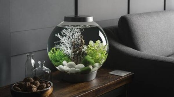 biOrb Classic 105 MCR Schwarz