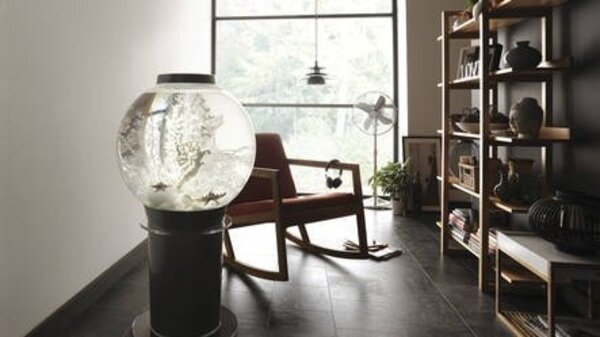 biOrb Classic 105 MCR Schwarz