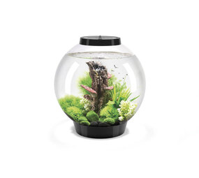 biOrb Classic 30 MCR Schwarz