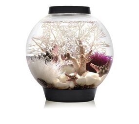 biOrb Classic 15 MCR Schwarz