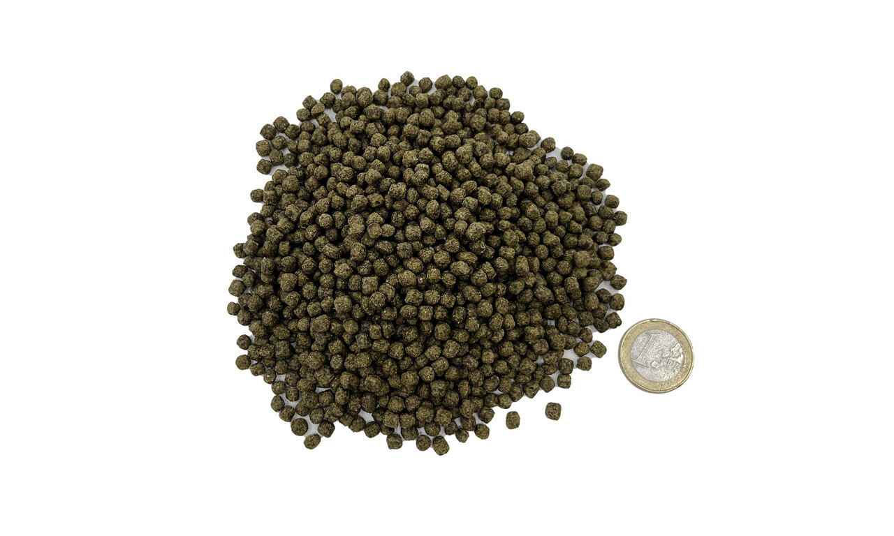 AquastoreXL All Season Koifutter 15KG