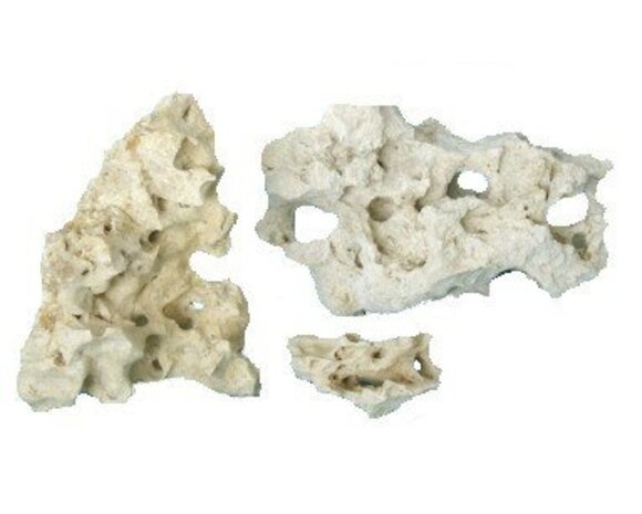 HS Aqua Lochstein Mittelgroß pro Stück HS Aqua Lochstein Mittelgroß pro Stück